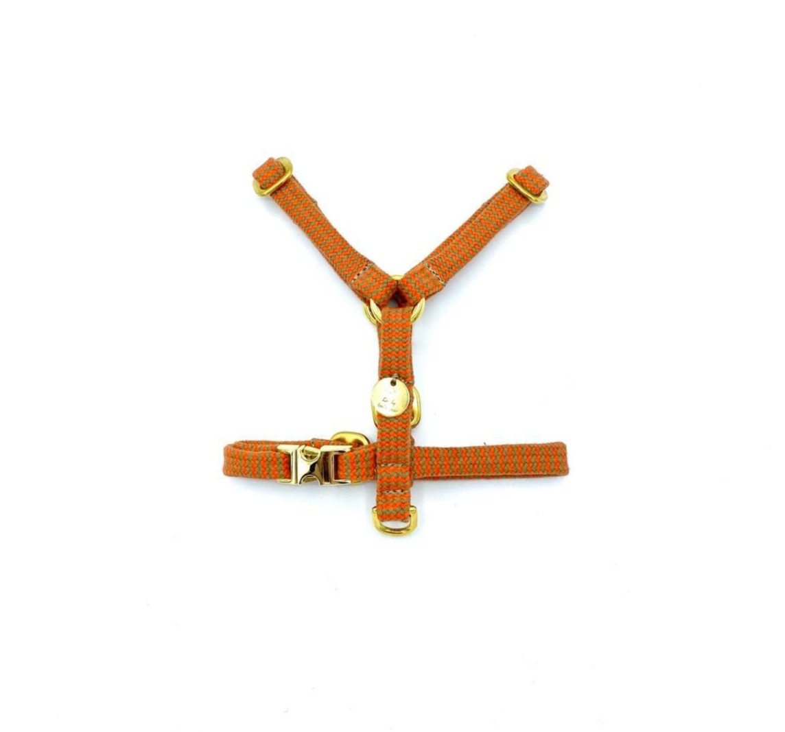 Smycz Zigzag Carrot - obrazek 7