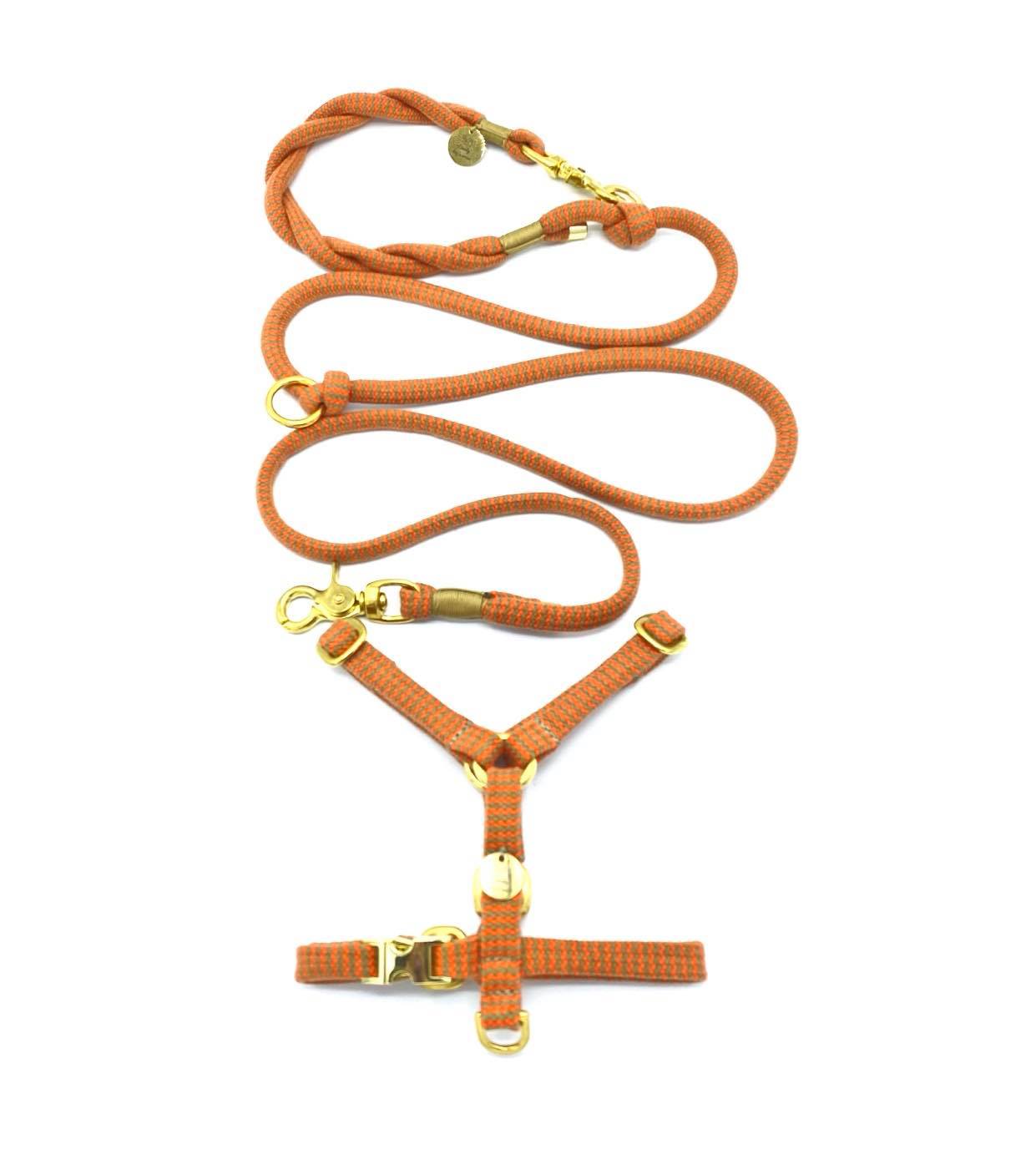 Smycz Zigzag Carrot