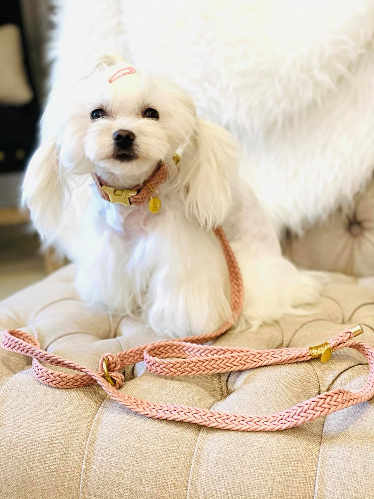 Smycz Pink Braid