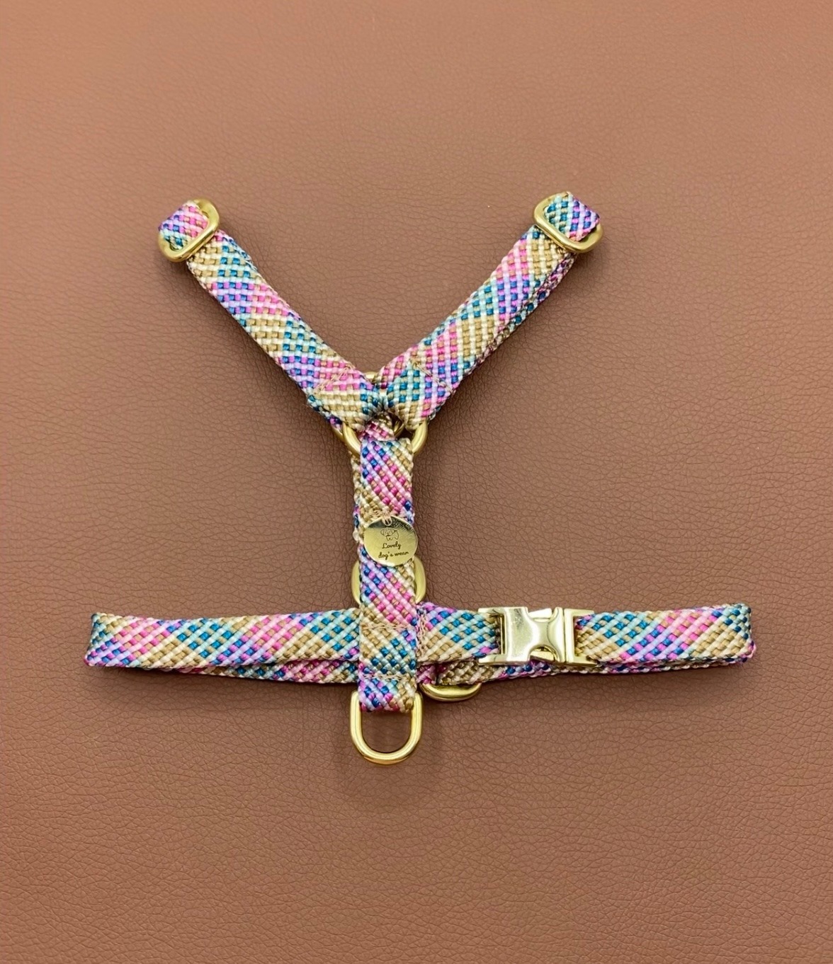 Szelki guard Rainbow