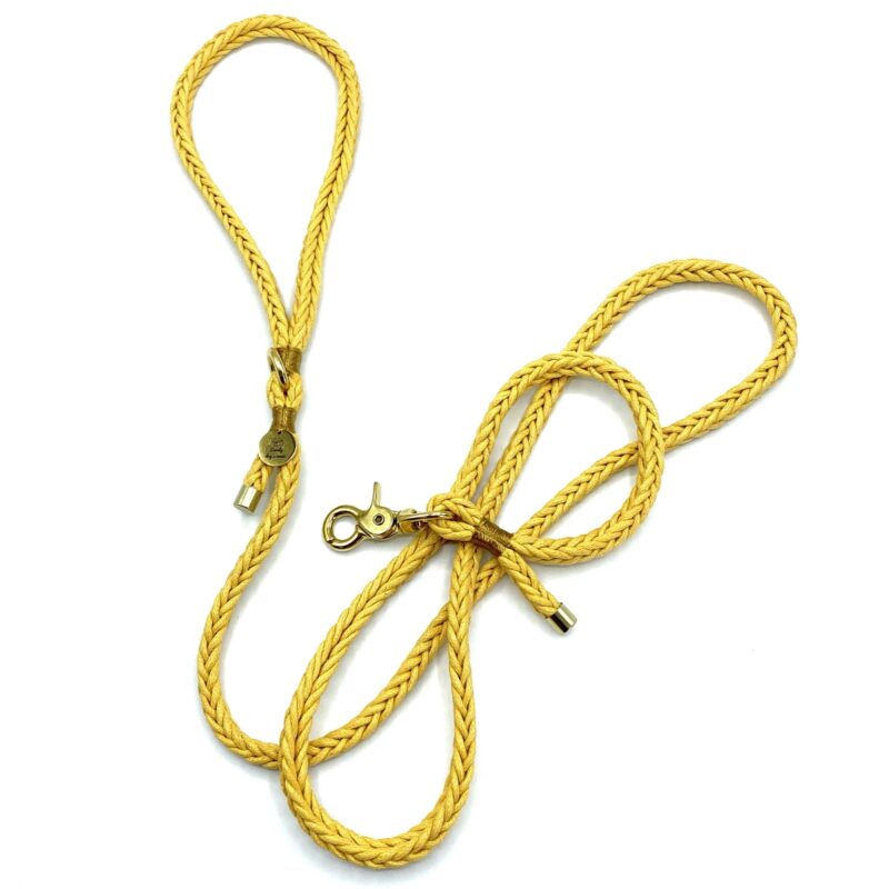 Smycz Yellow Braid