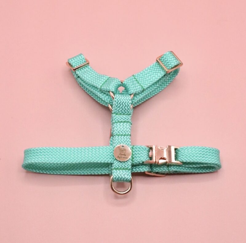 Szelki guard Light Turquoise