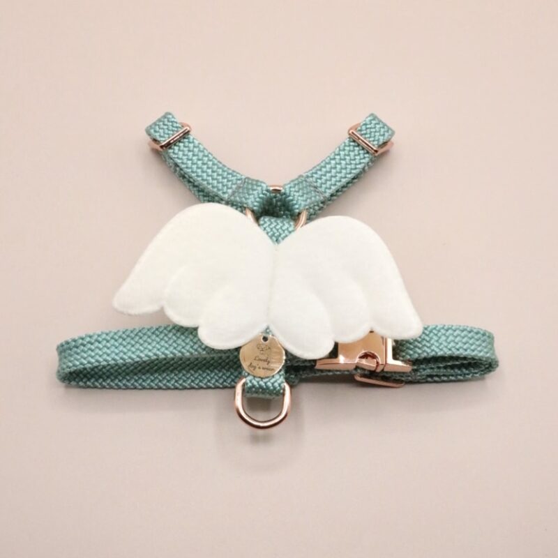 Szelki guard Mint Angel