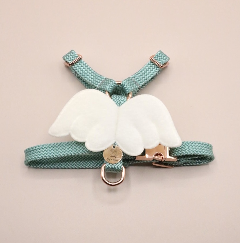 Szelki guard Mint Angel
