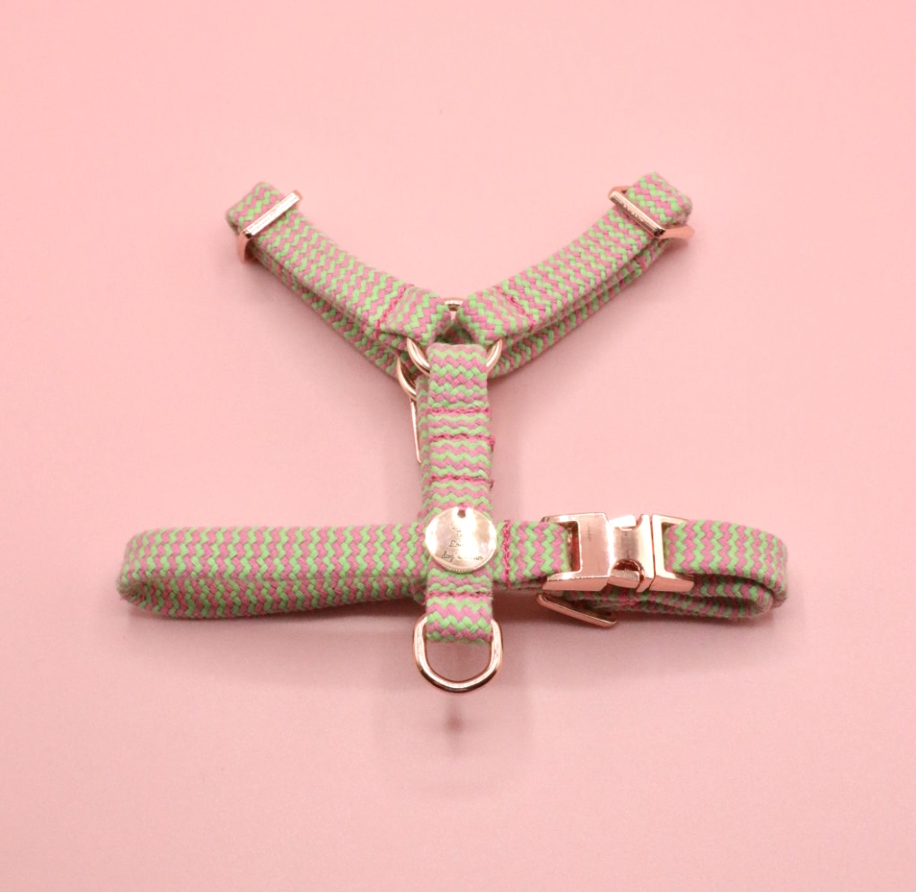 Szelki Zigzag Pink Green