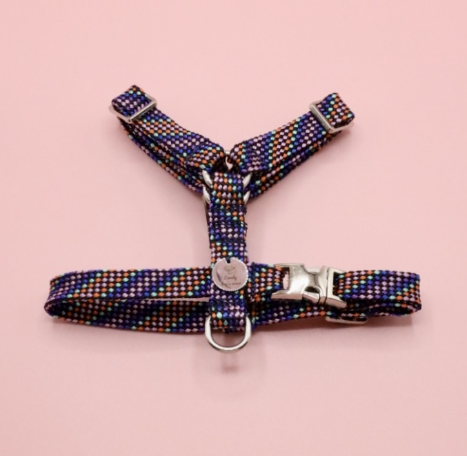 Szelki guard Cobalt&Violet