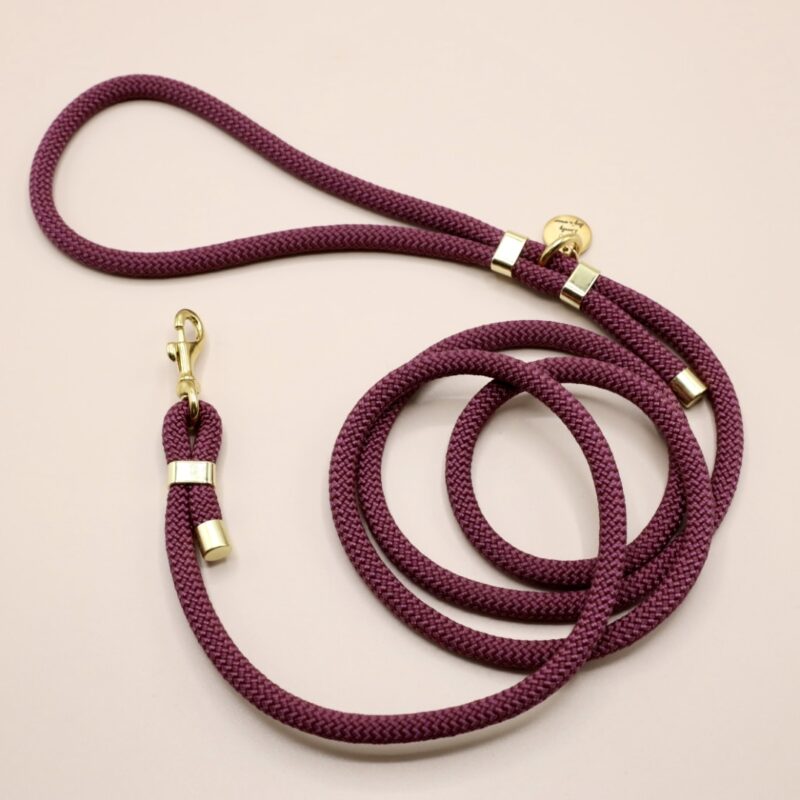 smycz miejska Eggplant