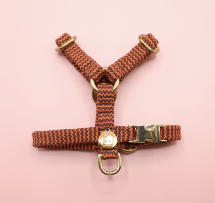 Szelki Zigzag Chocolate&Rust