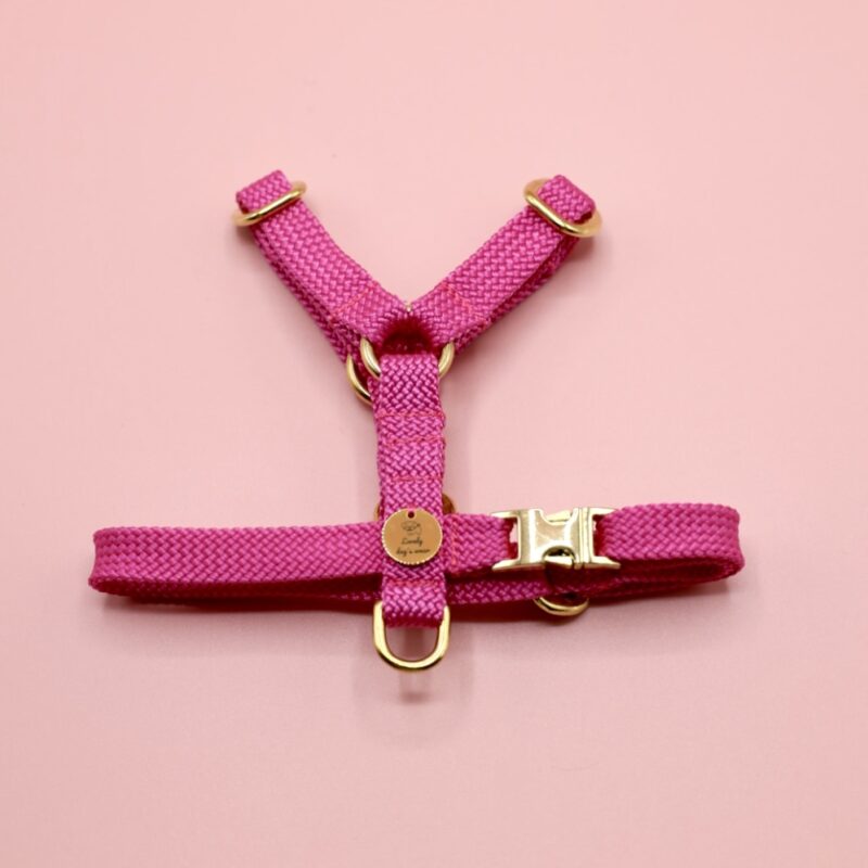 Szelki guard Fuchsia