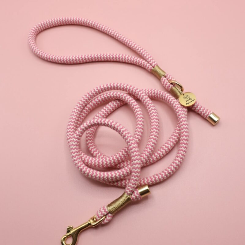 Smycz Miejska Zigzag Rose Beige