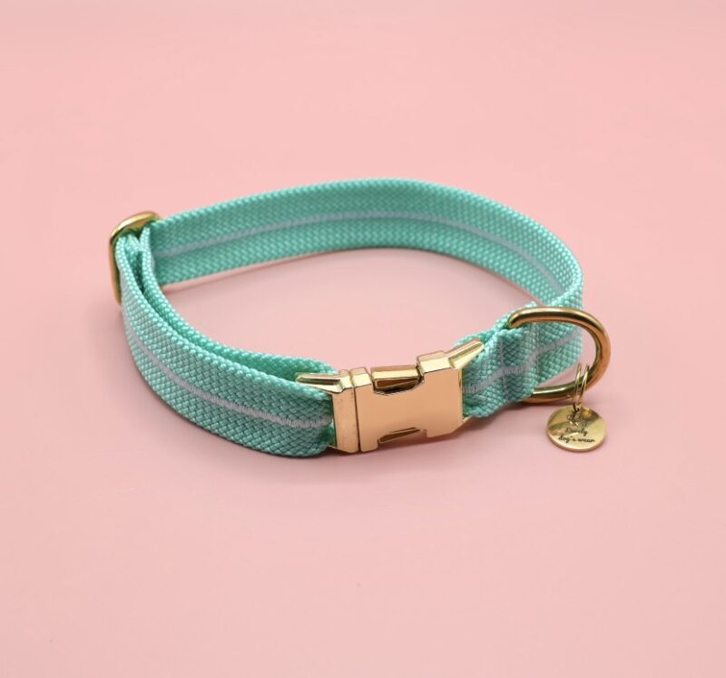 Obroża Sea Green max